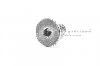 น็อตหัวจมเตเปอร์สแตนเลส 3/8"x3/4"