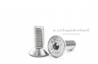 น็อตหัวจมเตเปอร์สแตนเลส M10x25