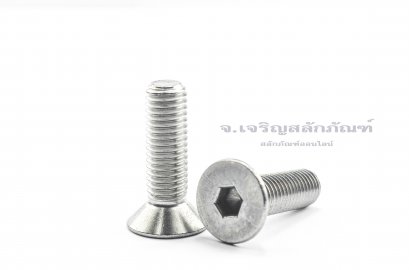 น็อตหัวจมเตเปอร์สแตนเลส M10x35