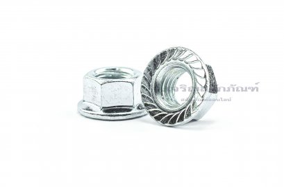 หัวน็อตติดจาน-หัวน็อตติดแหวน (Flange Hex Nut Steel) M10x1.5