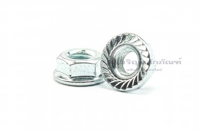 หัวน็อตติดจาน-หัวน็อตติดแหวน (Flange Hex Nut Steel) M6x1.0