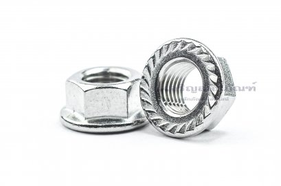 หัวน็อตติดจาน-หัวน็อตติดแหวนสแตนเลส (Flange Hex Nut Stainless) M10x1.5