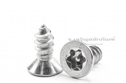 สกรูเกลียวปล่อยสแตนเลส หัวทอร์ค-หัวดาว มีเดือยโผล่ M4x9.5