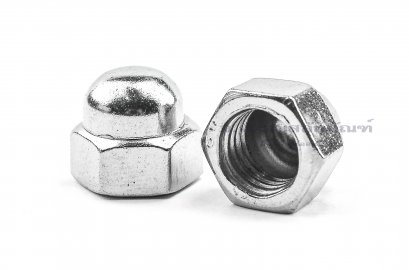 หัวน็อตหมวก-หัวน็อตแบบปิด Dome Hex Nut M10x1.25