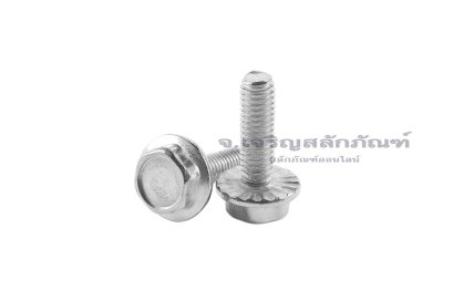 น็อตหัวเหลี่ยมแบบติดจานสแตนเลส M3x10 เกลียวตลอด
