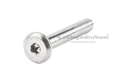 น็อตเกลียวใน-ปลอกหัวน็อต หัวจมแบนสแตนเลส Inner Thread Bolt M3x25