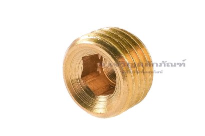 ปลั๊กอุดตัวหนอนทองเหลือง 1/4" NPT 18