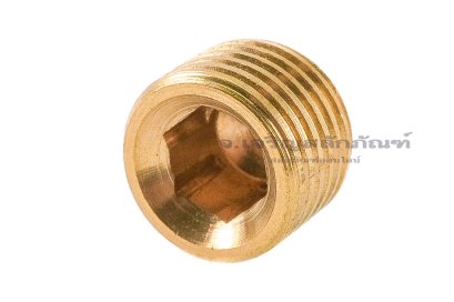 ปลั๊กอุดตัวหนอนทองเหลือง 1/8" NPT 27