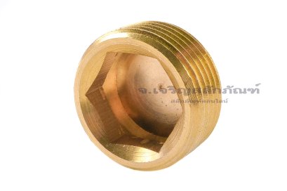 ปลั๊กอุดตัวหนอนทองเหลือง 3/4" BSPT 14