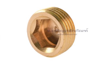 ปลั๊กอุดตัวหนอนทองเหลือง 3/4" NPT 14