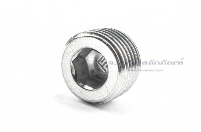 ปลั๊กอุดตัวหนอนสแตนเลส 1/2&quot; NPT 14