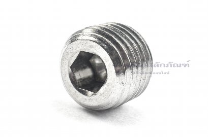 ปลั๊กอุดตัวหนอนสแตนเลส 1/4&quot; BSPT 19