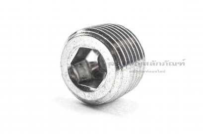 ปลั๊กอุดตัวหนอนสแตนเลส 3/8&quot; NPT 18