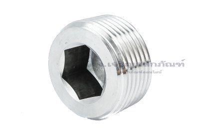 ปลั๊กอุดตัวหนอนสแตนเลสเกรด 316 ขนาด 1&quot; BSPT 11