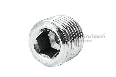 ปลั๊กอุดตัวหนอนสแตนเลสเกรด 316 ขนาด 1/8&quot; BSPT 28