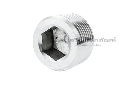 ปลั๊กอุดตัวหนอนสแตนเลสเกรด 316 ขนาด 3/4&quot; BSPT 14