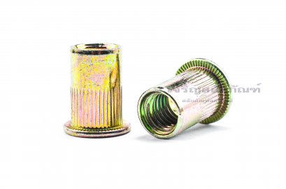รีเวทนัทเหล็กชุบรุ้ง รุ่นคอลาย M10 Rivet Nut