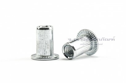 รีเวทนัทเหล็กชุบ  M3 Rivet Nut