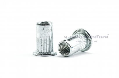รีเวทนัทเหล็กชุบ  M5 Rivet Nut