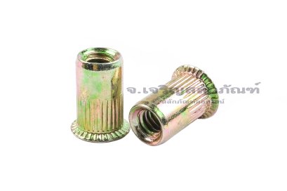 รีเวทนัทเหล็กชุบรุ้ง รุ่นคอลาย 5/32 เกลียว 32 Rivet Nut