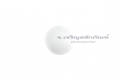 ลูกปืนเม็ดกลมพลาสติก-ลูกบอล PU  25 mm