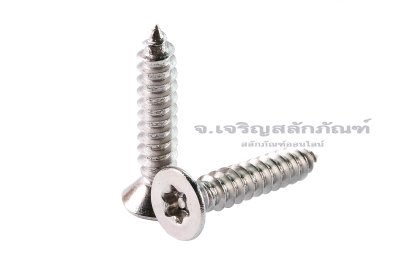 สกรูเกลียวปล่อยสแตนเลส หัวทอร์ค-หัวดาว มีเดือยโผล่ M4.8x25
