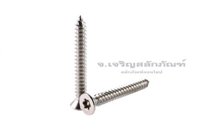 สกรูเกลียวปล่อยสแตนเลส หัวทอร์ค-หัวดาว มีเดือยโผล่ M4.8x30