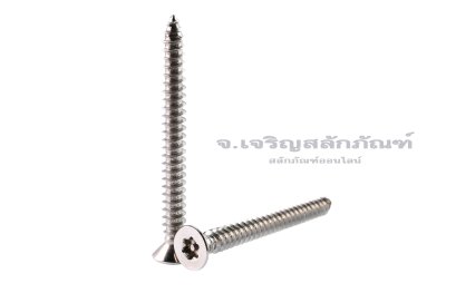 สกรูเกลียวปล่อยสแตนเลส หัวทอร์ค-หัวดาว มีเดือยโผล่ M4.8x50