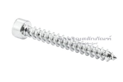 สกรูเกลียวปล่อยหัวจมสแตนเลส (Hex Socket Self Tapping Screw) M5x40