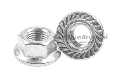หัวน็อตติดจาน-หัวน็อตติดแหวนสแตนเลส (Flange Hex Nut Stainless) M14x1.5