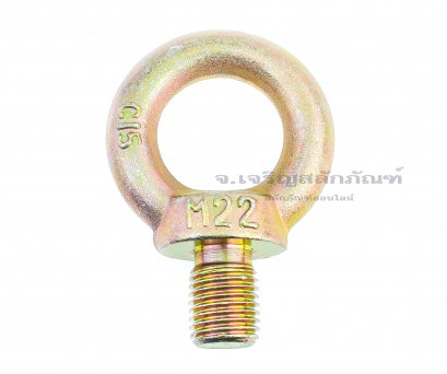 อายโบลท์ขนาด Eye Bolt ขนาด M22x29 mm