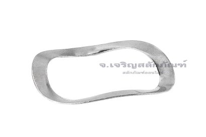 แหวนกันรุนลูกปืน-แหวนคลื่นรองตลับลูกปืนสแตนเลส 304 ขนาดวงนอก 25 mm (19x25x0.3)