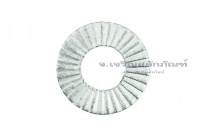 แหวนล็อคคู่กันคลาย WEDGE LOCK WASHER M6 (NL6SP) ขอบกว้างพิเศษ
