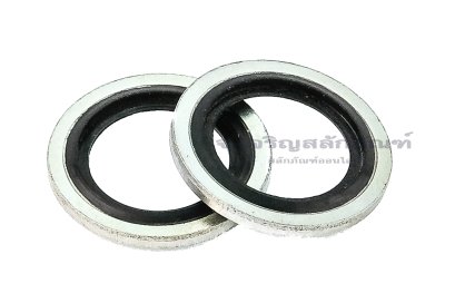 แหวนอีแปะ M16 แหวนห่วงโซล่า มียางกันรั่วซึม ใช้กับเกลียวแป๊ป ขนาด 3/8&quot; (ใน 16.8 นอก 23.8 หนา 2 mm)