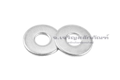 แหวนอีแปะ M3 สแตนเลส (3-9-0.5)