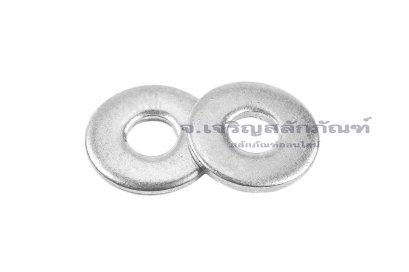 แหวนอีแปะ M3 สแตนเลส (3-9-0.8)