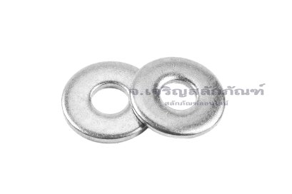 แหวนอีแปะ M3 สแตนเลส (3-9-1)
