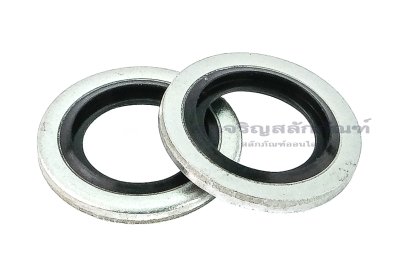 แหวนอีแปะ M13 แหวนห่วงโซล่า มียางกันรั่วซึม ใช้กับเกลียวแป๊ป ขนาด 1/4&quot; (ใน 13.7 นอก 20.6 หนา 2 mm)