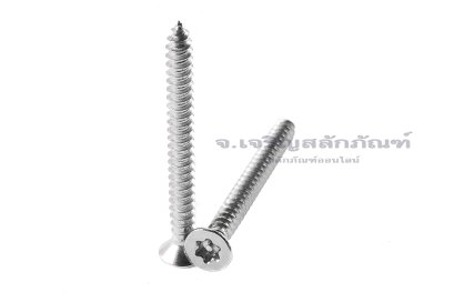 สกรูเกลียวปล่อยสแตนเลส หัวทอร์ค-หัวดาว มีเดือยโผล่ M3.9x35