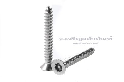 สกรูเกลียวปล่อยสแตนเลส หัวทอร์ค-หัวดาว มีเดือยโผล่ M3.9x30