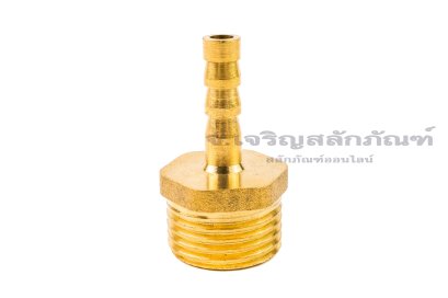 ข้อต่อหางไหลทองเหลือง เกลียวนอกเสียบสาย (เกลียวนอก x หางไหล) ขนาด 1/2" x 6 mm