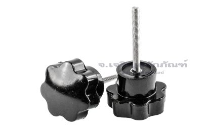 น็อตมือหมุนดอกไม้ แกนสแตนเลส (Star Grip Knob Bolt) ขนาด M3x25 ความโตหัว 24 mm