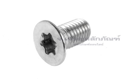 น็อตหัวทอร์ค-หัวดาวเตเปอร์สแตนเลส (Torx, Taper Head Screw) M10x16