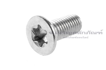น็อตหัวทอร์ค-หัวดาวเตเปอร์สแตนเลส (Torx, Taper Head Screw) M12x30