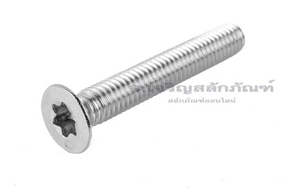 น็อตหัวทอร์ค-หัวดาวเตเปอร์สแตนเลส (Torx, Taper Head Screw) M6x40