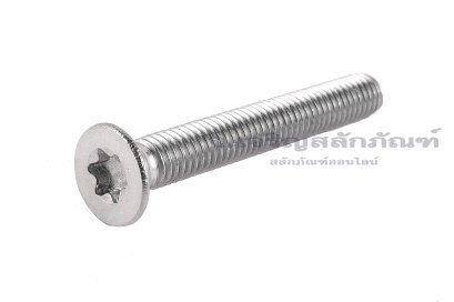 น็อตหัวทอร์ค-หัวดาวเตเปอร์สแตนเลส (Torx, Taper Head Screw) M6x45