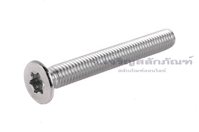 น็อตหัวทอร์ค-หัวดาวเตเปอร์สแตนเลส (Torx, Taper Head Screw) M6x50