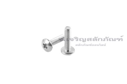 น็อตหัวร่มแฉกสแตนเลส (JT) M2.5x10 เกลียวตลอด