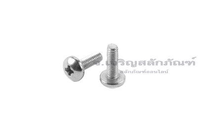 น็อตหัวร่มแฉกสแตนเลส (JT) M2.5x4 เกลียวตลอด