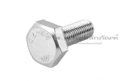 น็อตหัวเหลี่ยมสแตนเลส Stainless Steel Hex Bolt M9x1.25x25 เกลียวตลอด